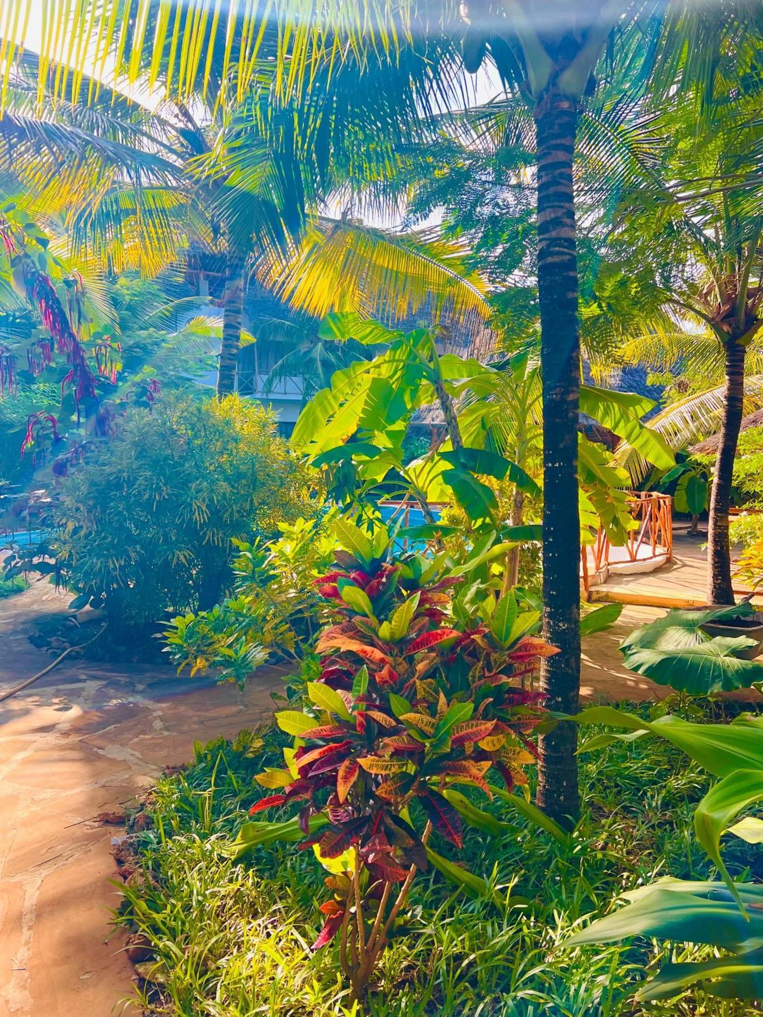 Hotel Tropical Nungwi Extérieur photo