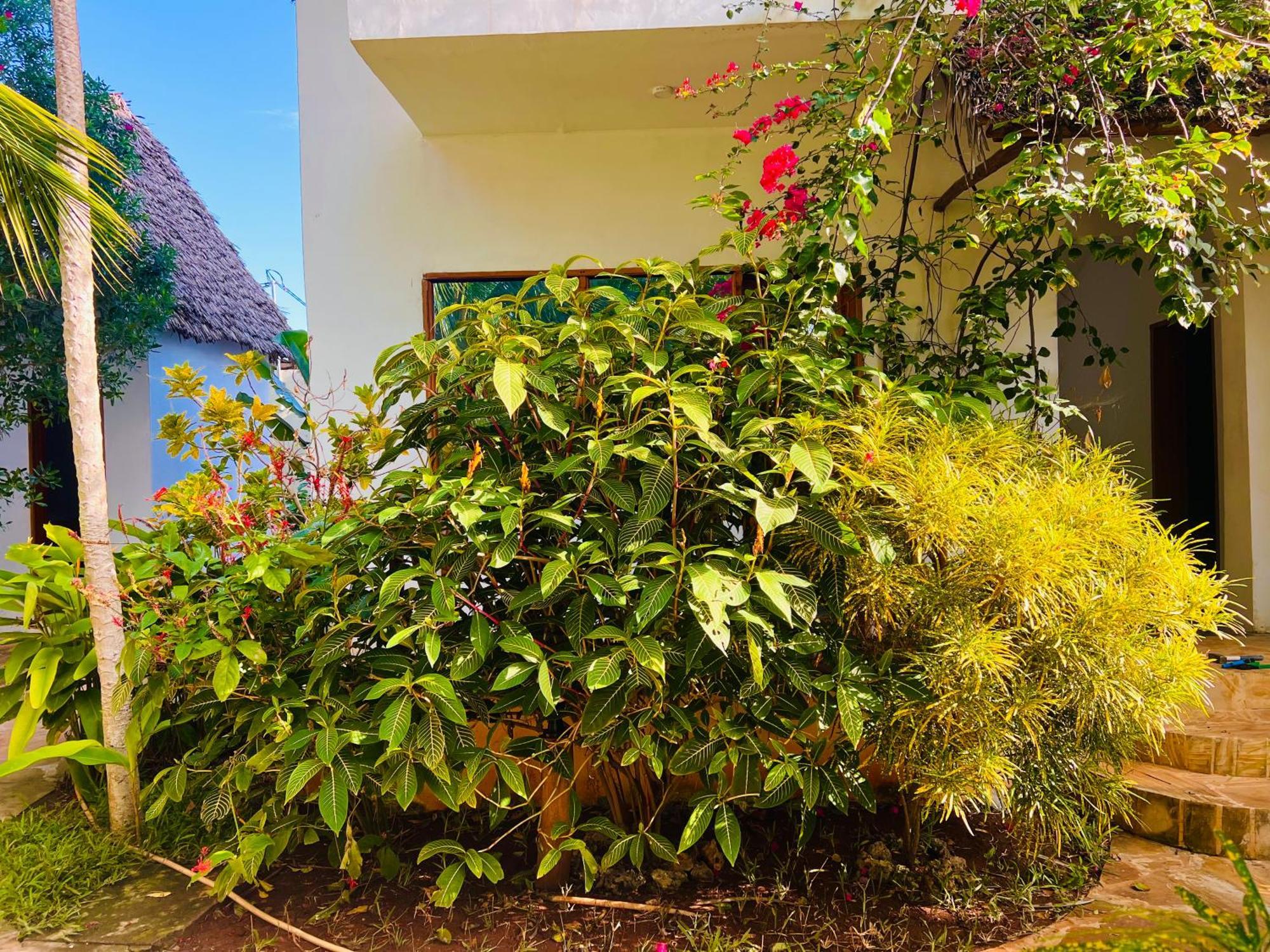 Hotel Tropical Nungwi Extérieur photo