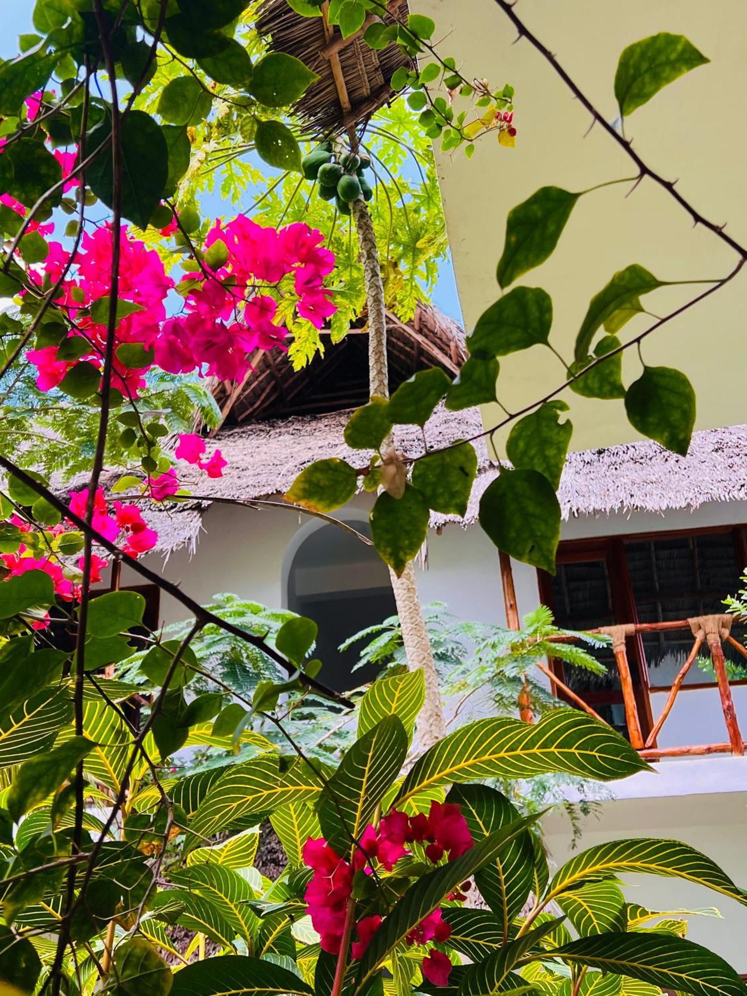 Hotel Tropical Nungwi Extérieur photo