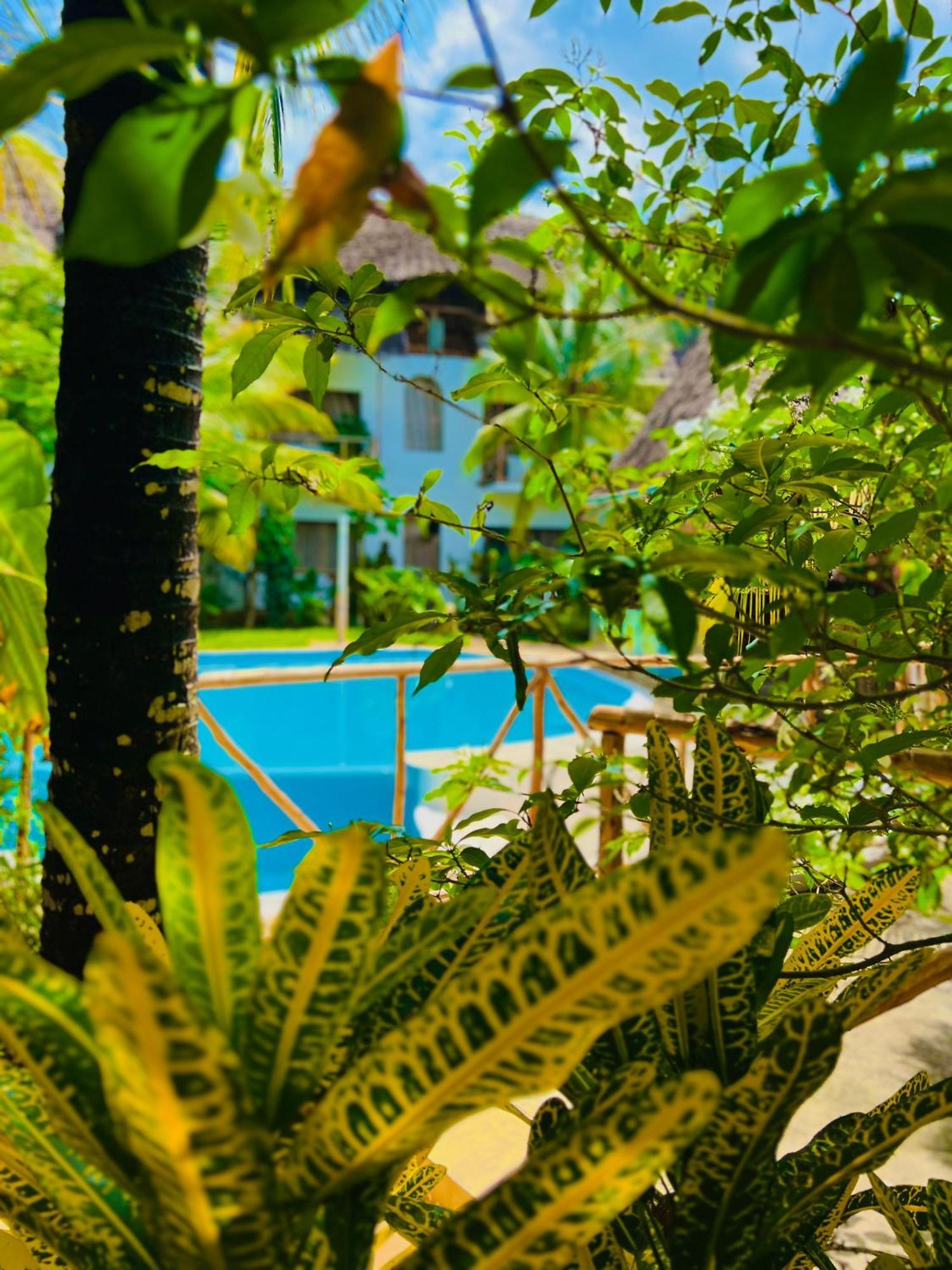 Hotel Tropical Nungwi Extérieur photo